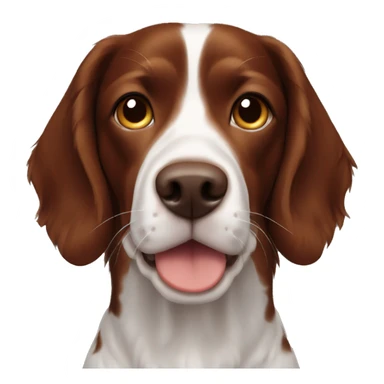A dark brown Brittany spaniel dog sticker