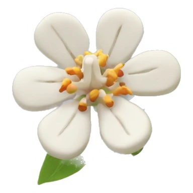 ashwagandha flower sticker