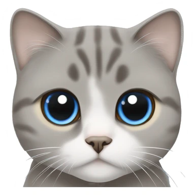 Grey Scottish fold with brown eyes cuddling with beige cat with blue eyes  sticker