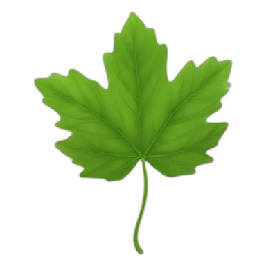 Une feuille d’érable japonais verte sticker