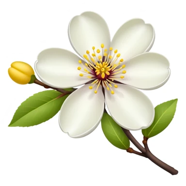 plum blossom flower sticker