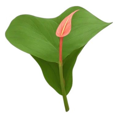 Anthurium feuille longue sticker