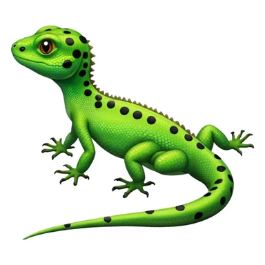 LIZARD which has some really long and large dots on its back. looks like the one on the Hands on Machine learning with scikit learn&tensorflow book sticker