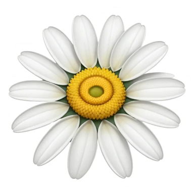 daisy flower sticker