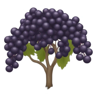 Elderberry sticker