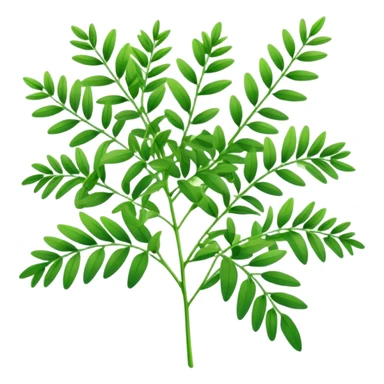 Rue herb sticker