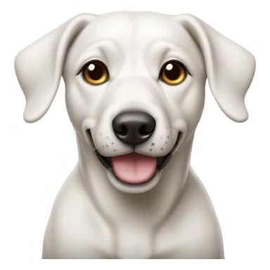 silindir şapka köpekbalığı sticker