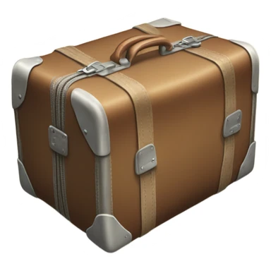 1950's luggage sticker