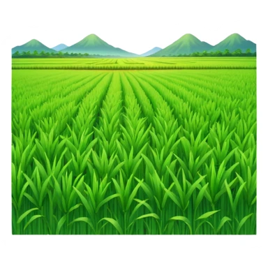 rice field sticker