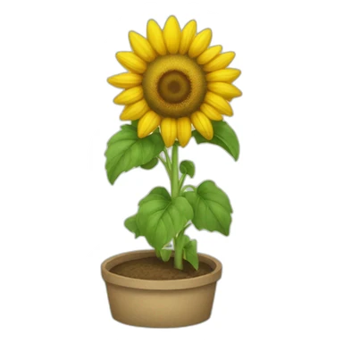 Champs de tournesol sticker