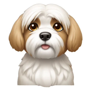 white Shitzu with light brown ears sticker