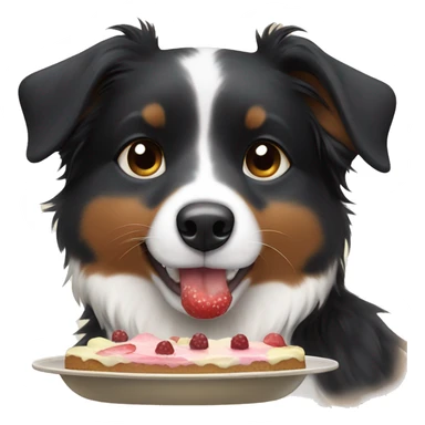 Small black australian shepherd dog eating dessert  sticker