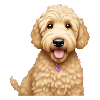 Goldendoodle with blonde hair  sticker