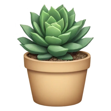 succulents  sticker