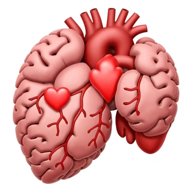 Brain and heart sticker