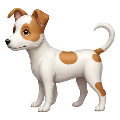 White midle dog Not fluffy with brown eyes and some long white body and white ears with brown spots curved on the sides , walking  sticker