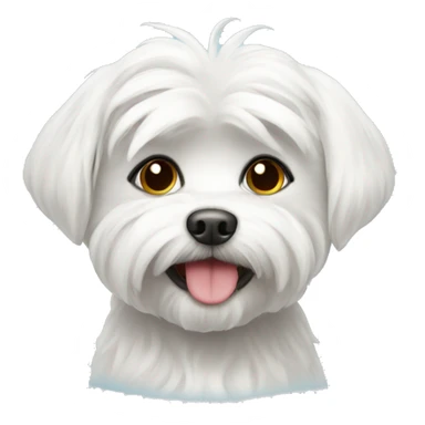 Maltese dog in love sticker