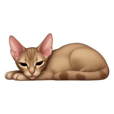 Brown oriental shorthair cat sleeping sticker
