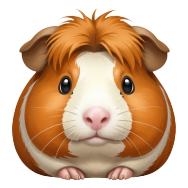 Баллы твич Морская свинка размер 28x28 прозрачный фон png Макс. размер — 25 Кб. sticker