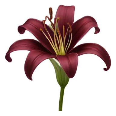 realistic burgundy lily sticker