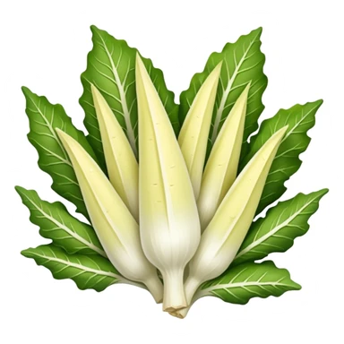 Belgian endive sticker