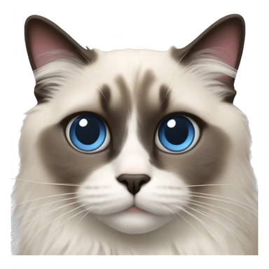 Ragdoll cat with heart eyes sticker