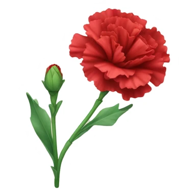 red Carnation flower sticker