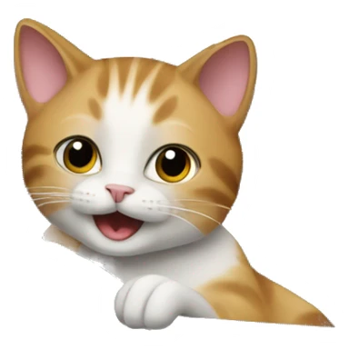 Cat in audi car  sticker