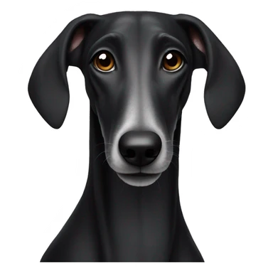 Black galgo with weite snoot sticker