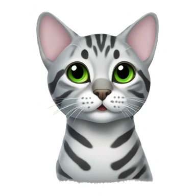 Grey bengal cat with green eyes in an ultrasound scan sticker