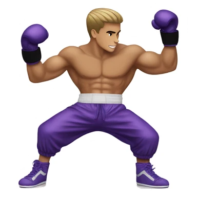Justin Bieber en mode boxe sticker