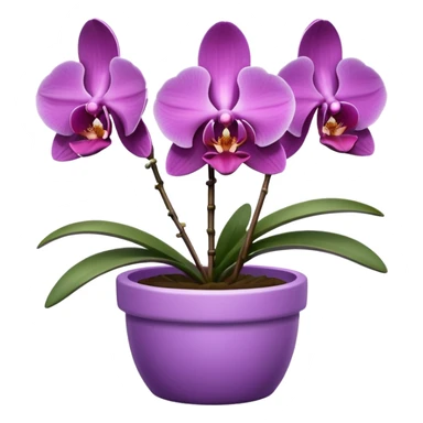 Purple Orchid in a pink pot sticker
