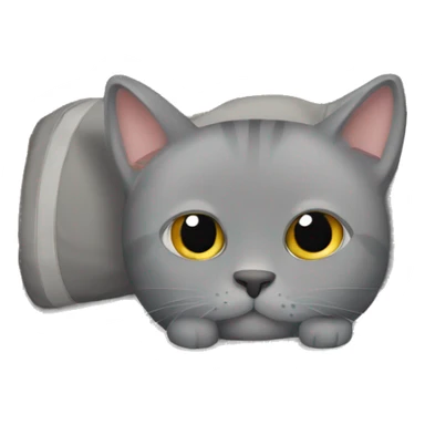 Grey cat hiding behind bed sticker