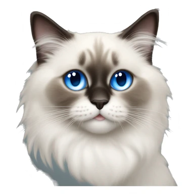 Ragdoll cat drinking soda and the middle of his face should have black and it shoul be male baby cat and blue eyes sticker