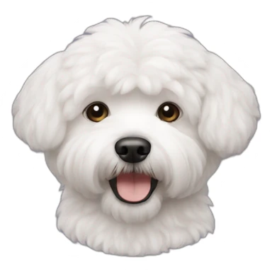 Bichon havanais sticker