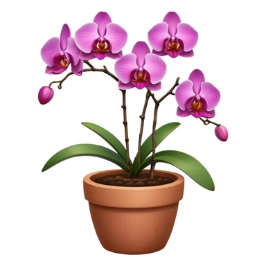 pink Orchid in a clay pot sticker