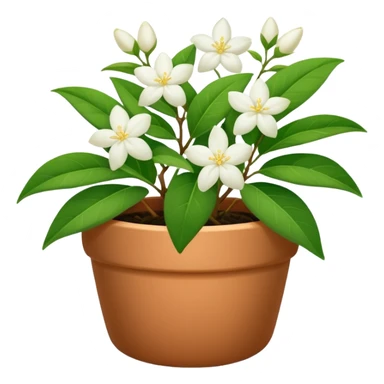 jasmine plant in pot sticker