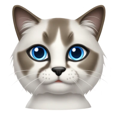 Snowshoe cat sticker