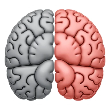 left and right hemispheres of brain sticker