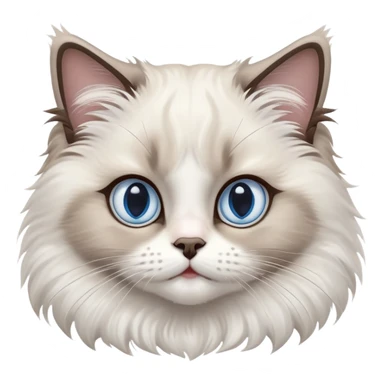 cinematic-adorable-big-eyed-fluffy-ragdoll-cat-portrait-emoji,-head-tilted-playfully-with-a-sweet-expression,-fluffy-white and grey-fur,-simplified-yet-irresistibly-cute-features-with-large,-expression, blue eyed ragdoll cat sticker