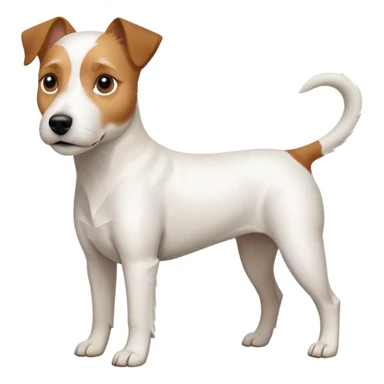 a full body white parson russell looking dog the size of a kelpie with light brown ears and a light brown patch on one eye and a large snout sticker