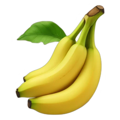 Banane dans un cadre avec du scotch sticker