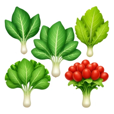 different salad leaves different colors  sticker