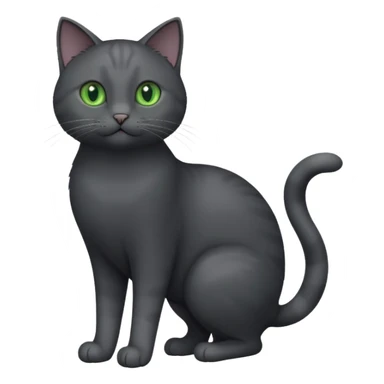 full body gorgeous solid dark grey cat with green eyes, white paws and white whiskers playing sticker