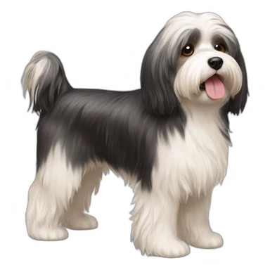 Dog havanese full height sticker