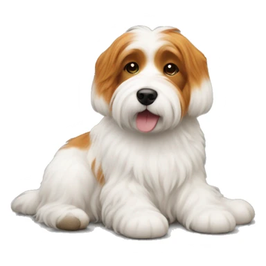 ginger girl with a coton de tulear sticker