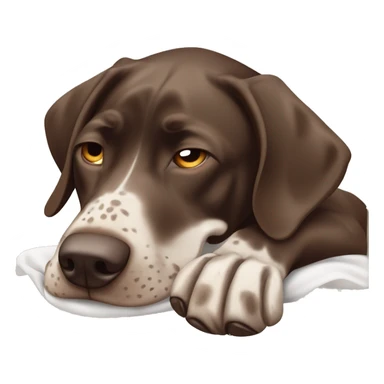 Brown German short haired pointer  with ticking looking sleepy, falling asleep, laying down, facing camera  sticker