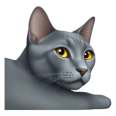 Russian blue cat sunbathing  sticker
