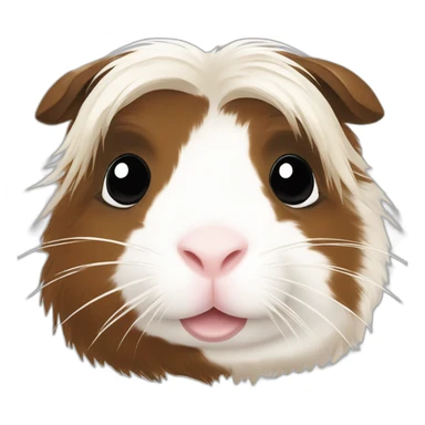 White long hair Guinea pig with large black and brown spots sticker