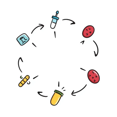 Anti-diabetic visualization with metabolic pathway: colorful flowchart showing blue insulin, green medication pills, yellow glucose molecules, and red blood cells. Hand-drawn educational diagram with arrows showing glucose regulation and insulin sensitivity improvement. sticker